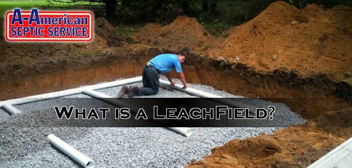 what-leach-field