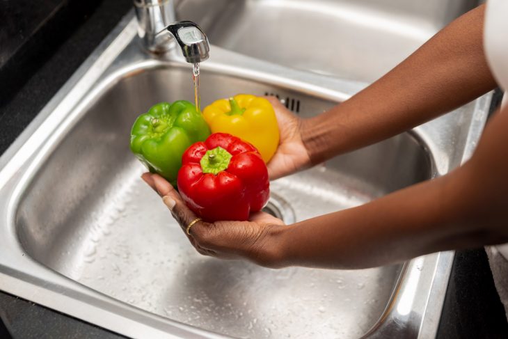 Can You Have A Garbage Disposal With A Septic Tank